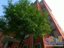 原始电梯,高区景观房,低密度社区,已满五年。