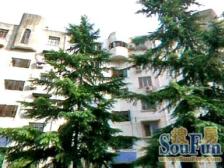 星苑小区2室南朝向367.00万元/套出售