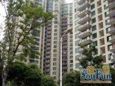 虹桥路400弄 3室1厅 东南