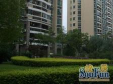 价格好谈,环境优美,业主急售,品质小区