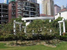上南花城,电梯房,南北两室,采光无遮挡,目前出租,满五年