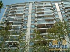 北外滩仲央无车区,480米第壹楼隔壁