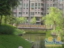 墙裂推荐 飞机户型 景观楼层 视野无限好