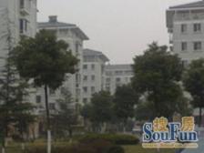 康桥·梓康路385-453号·3室·2厅