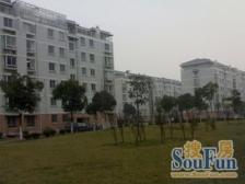 张江南近地铁近万达中间楼层位置安静采光好