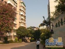 金汇·金坤花园·4室·2厅