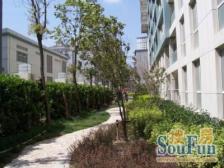 斜土路大木桥·鼎园·4室·2厅