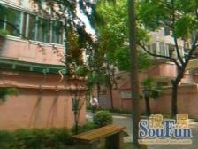 曹杨五村(南杨园) 1室0厅 东