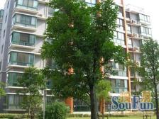 南北通电梯大两房改三房,采光无遮挡,位置安静带车位