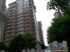 新华路·新华公寓·3室·2厅