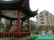 园林式小区(全明户型厨卫朝北厅朝西)户型正气锦江乐园200米