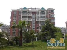 精装修+南北大两房+业主诚售+店长推荐