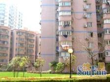 采光好 户型方正 景观好 浦东三件套近在咫尺