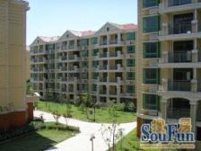 精装 无抵押 刚需上车 新上房源