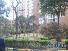 近地铁 电梯房,大平层,产权清晰,急售房源