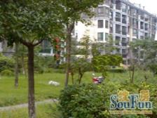 顶层复式,双轨地铁300米,南北通, 价可谈,看房方便