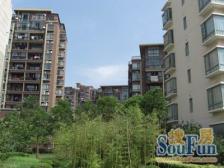 电梯复式!带产权卷帘门车库 大露台!必看好房 安静位置