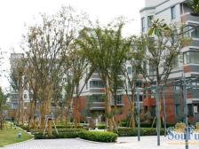 俯瞰花园温馨电梯高层-业主家里等看房