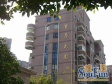 新上好房 全新装修大三房 拎包入住