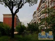 中环内 03年小区 精装修 一梯两户 顶楼复式