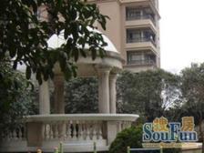 新地苑 3室1厅 南