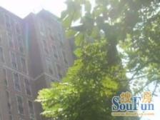 电梯房子高区视野好户型方正朝向好