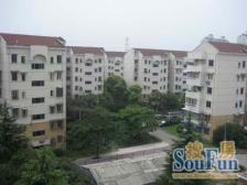 近地铁 位置好 远离飞机航道 小区美丽家园后环境优美