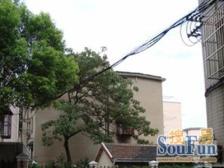 徐家汇新出小高层,南北通全明格局,业主诚意出售