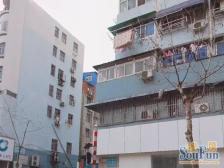 钟 英 有电梯 房龄新 视野好 交通便利