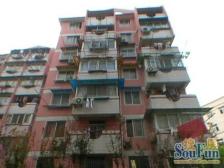 乳燕飞华屋,坐等佳客来!!!欢迎有缘人入住新家!