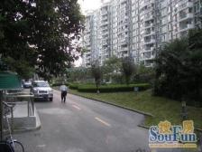 电梯房,主卧朝南,品质小区,精装修,精装好房