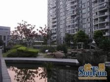 挑高客厅+南北看景观+户型好+11