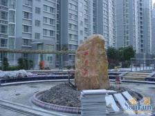 烫金地段+600米九亭地铁+南北通+景观楼层+视野开阔