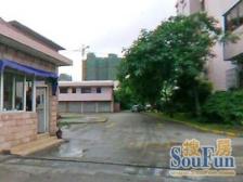 新上 电梯房 通风效果很好 户型正气