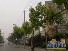 洋泾 · 泾西一村 · 2室 · 1厅