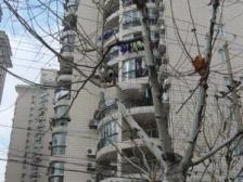 越秀苑2室南朝向800.00万元/套出售