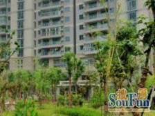 老静安怡乐花园仅在售的两房、低总价飞机大两房