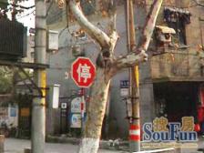 刘公巷小区2室0厅西
