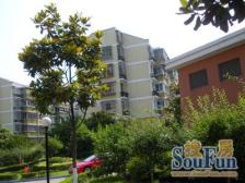 花木·花木苑·3室·2厅