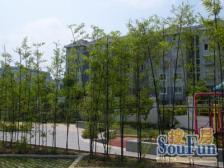 离交规2号线200米成熟小区,配套齐全。