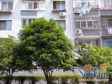 离交规2号线200米成熟小区,配套齐全。