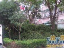控江四村 1室1厅 东