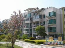 采光好 精装,通风好 新上房源