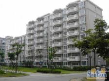 电梯房,产权清晰 无抵押 必看好房