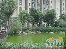 近地铁,电梯房 必看好房