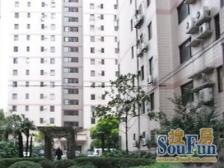 虹叶花苑二期2室西朝向700.00万元/套出售