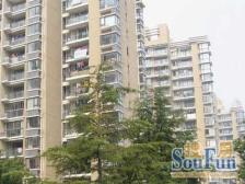 大开间,开放式厨房,品质小区,近地铁