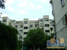 新出急卖,业主自住温馨装修,南北通透看房方便