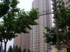 满五 新鸿基品质小区自带会所 近新鸿基itc 港汇 地铁