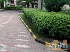 上安大厦 3室1厅 东